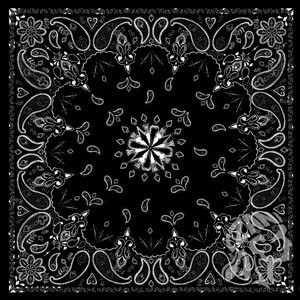 Zan Бандана Black Paisley, цвет Черный